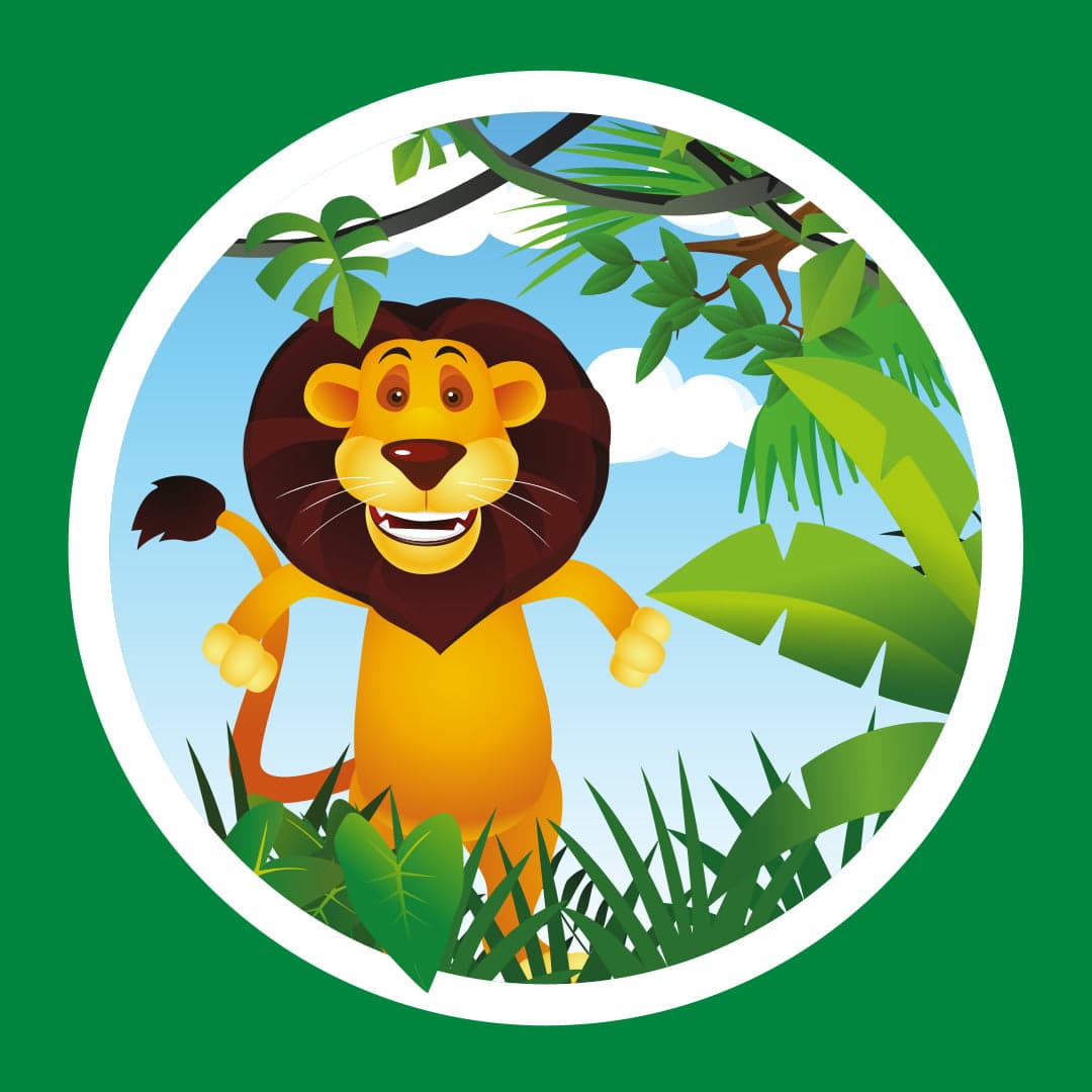 Jungle themed party room